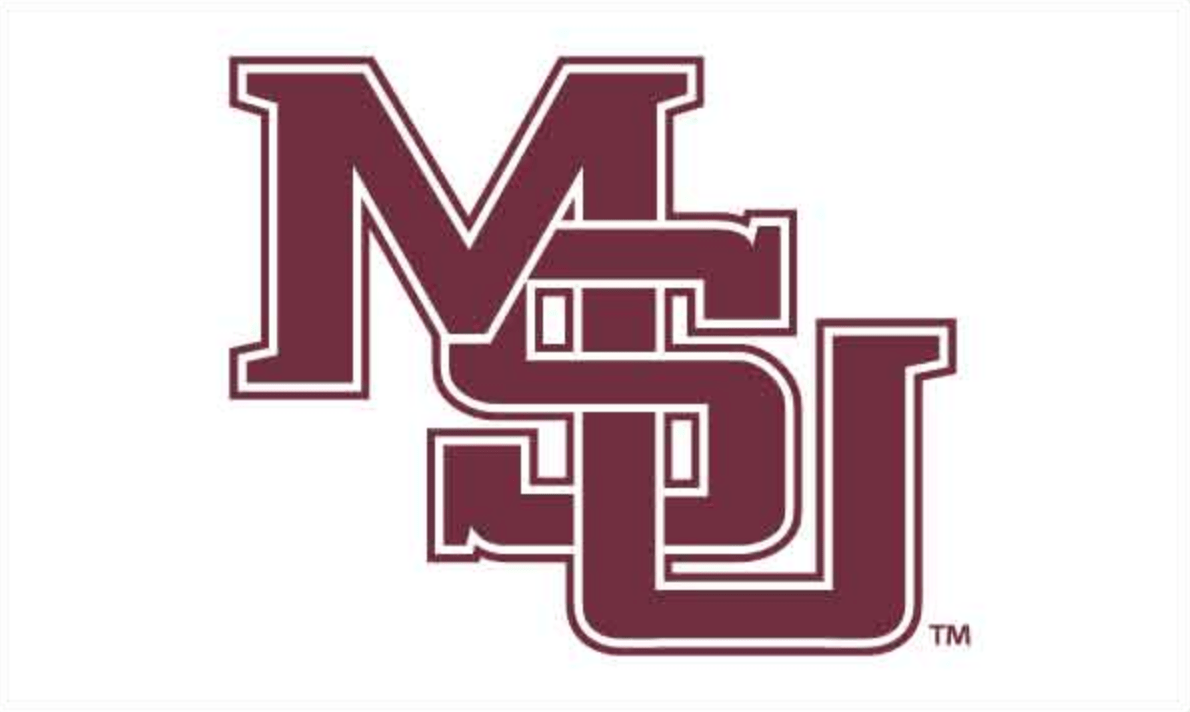 Mississippi State University Flag - Shop B - Unlimited - novelty flags