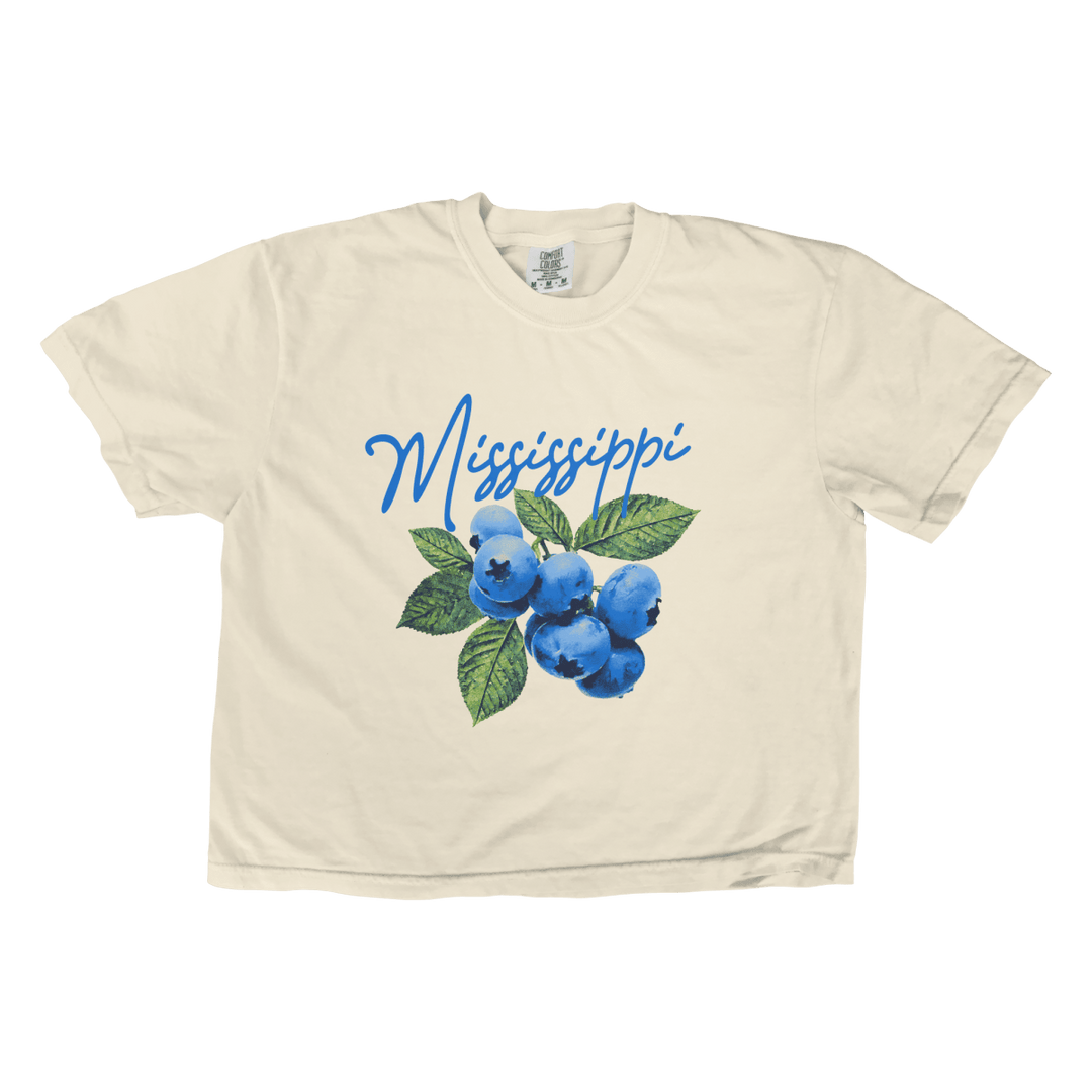 Mississippi Summer Fruit Cropped T-Shirt - Shop B - Unlimited -