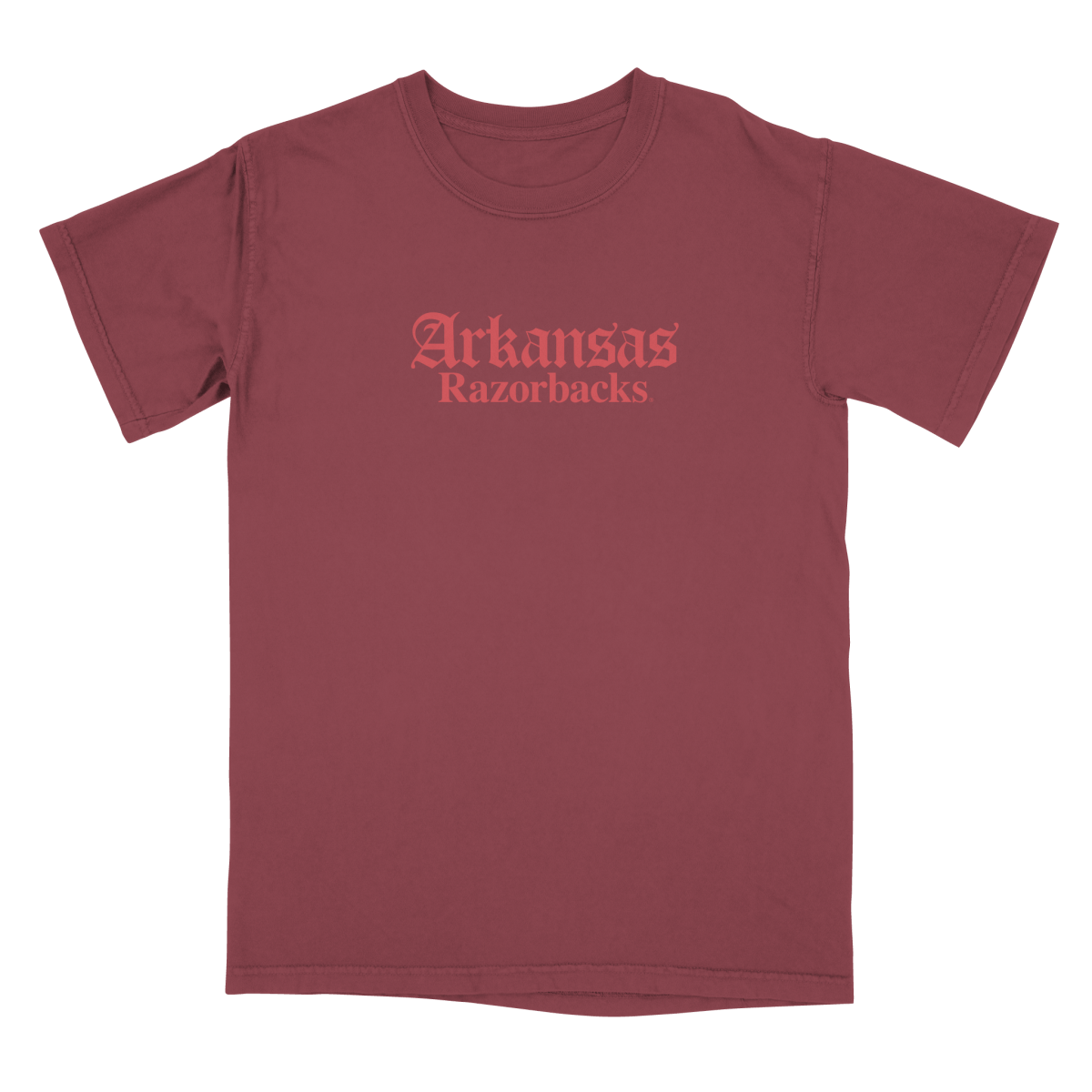 Arkansas Tone on Tone City T-Shirt - Shop B-Unlimited