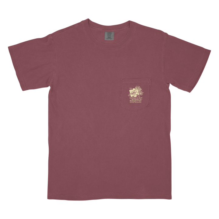 South Carolina vs. Ole Miss Game Day 2025 T-Shirt