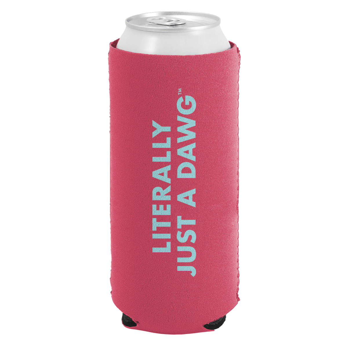 Mississippi State Literally A Can Cooler - Shop B - Unlimited - novelty drinkware