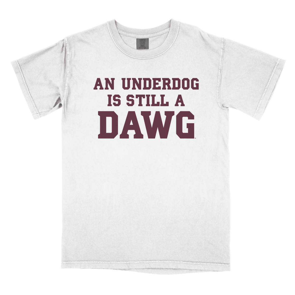 Mississippi State Softball Underdog T-Shirt - Game Day Apparel - 