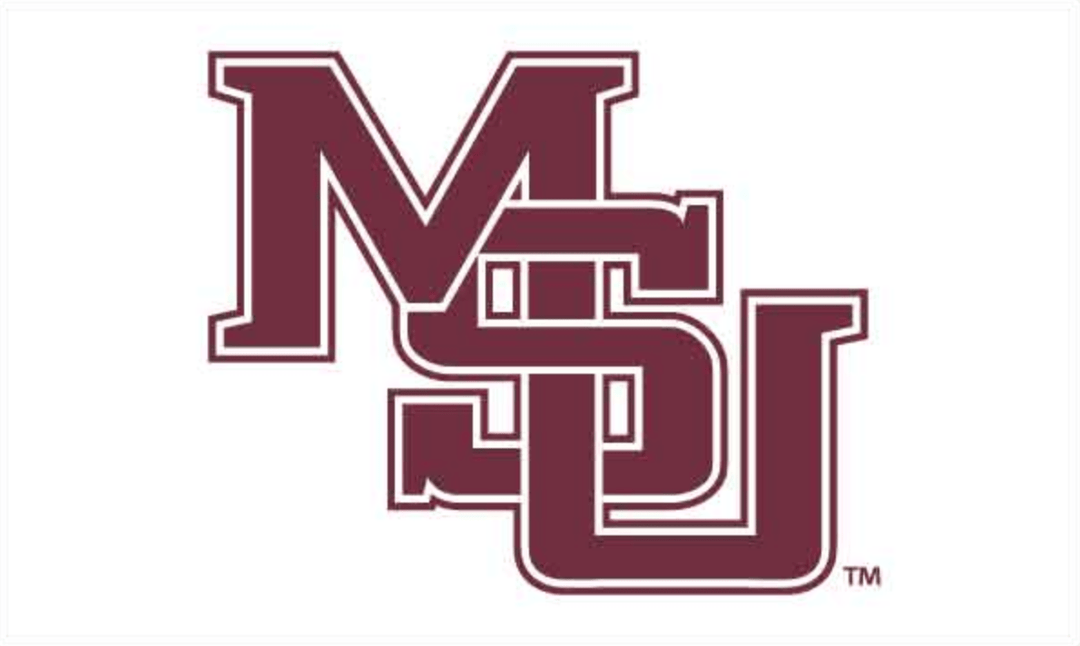 Mississippi State University Flag - Shop B - Unlimited - novelty flags