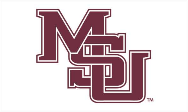 Mississippi State University Flag - Shop B - Unlimited - novelty flags