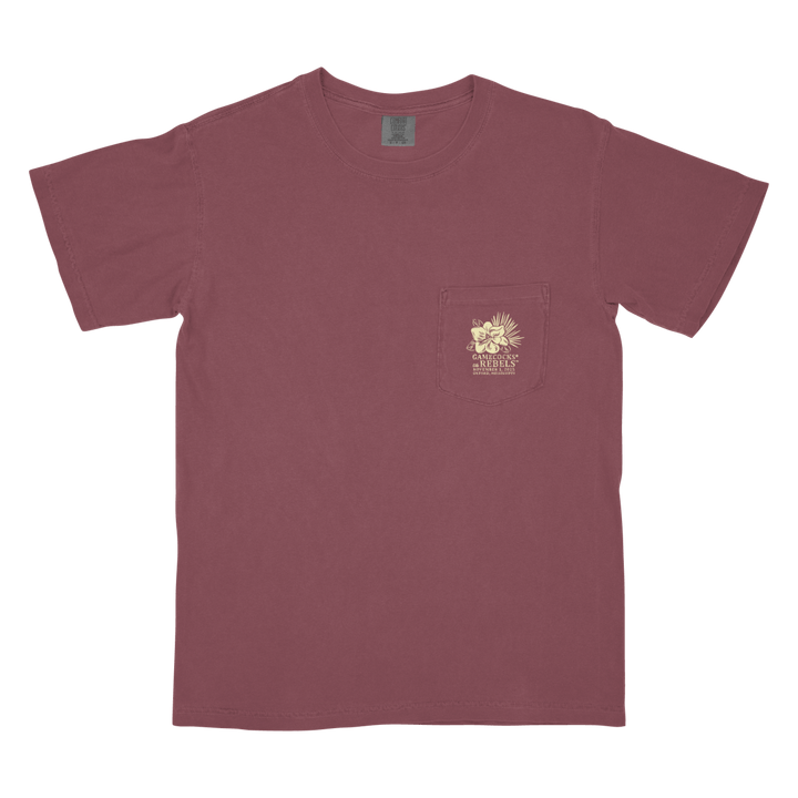 South Carolina vs. Ole Miss Game Day 2025 T-Shirt - Shop B - Unlimited - 