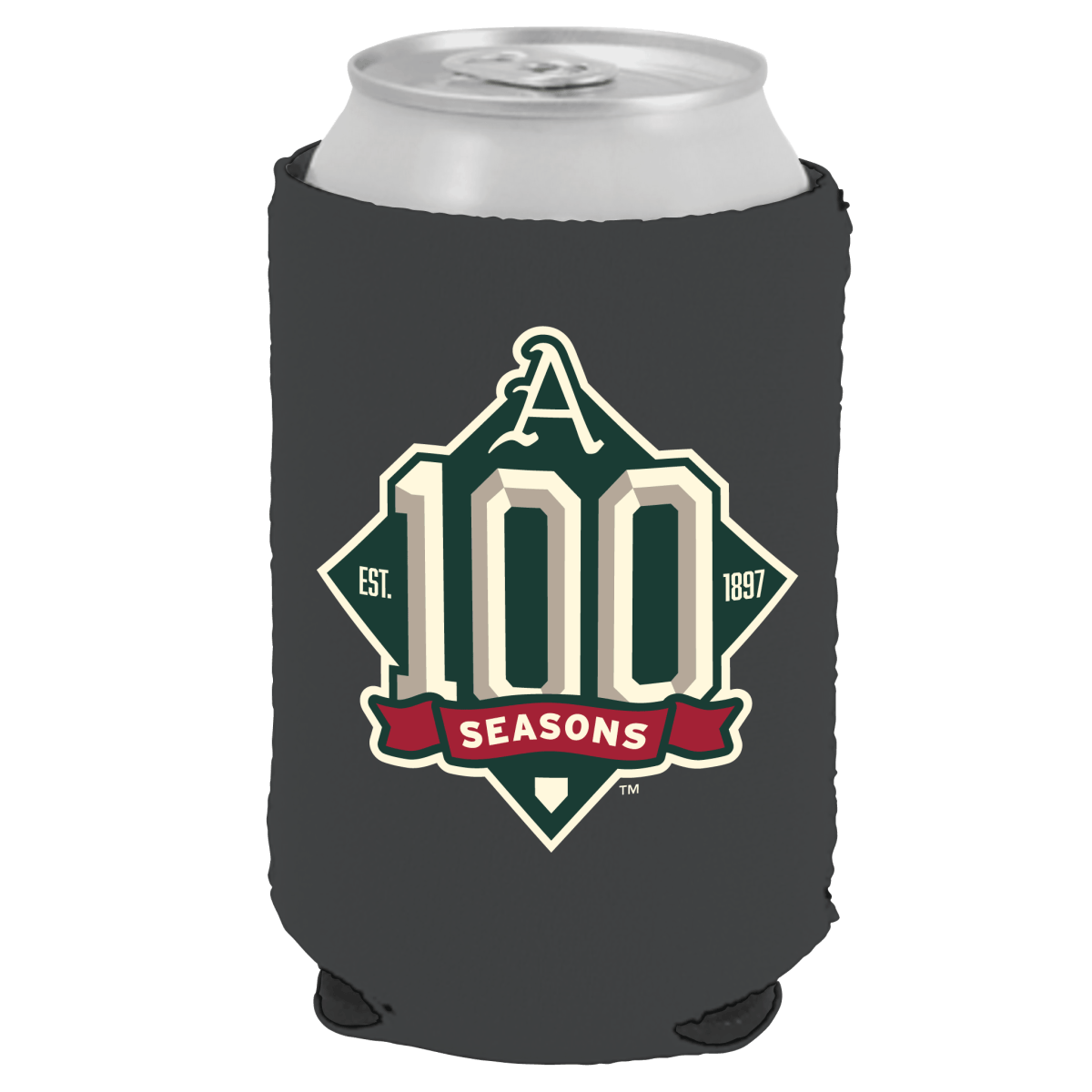 Arkansas 100 Seasons Can Cooler - Shop B-Unlimited