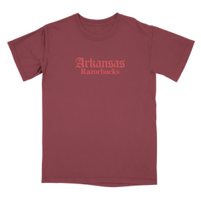 Arkansas Tone on Tone City T-Shirt - Shop B-Unlimited