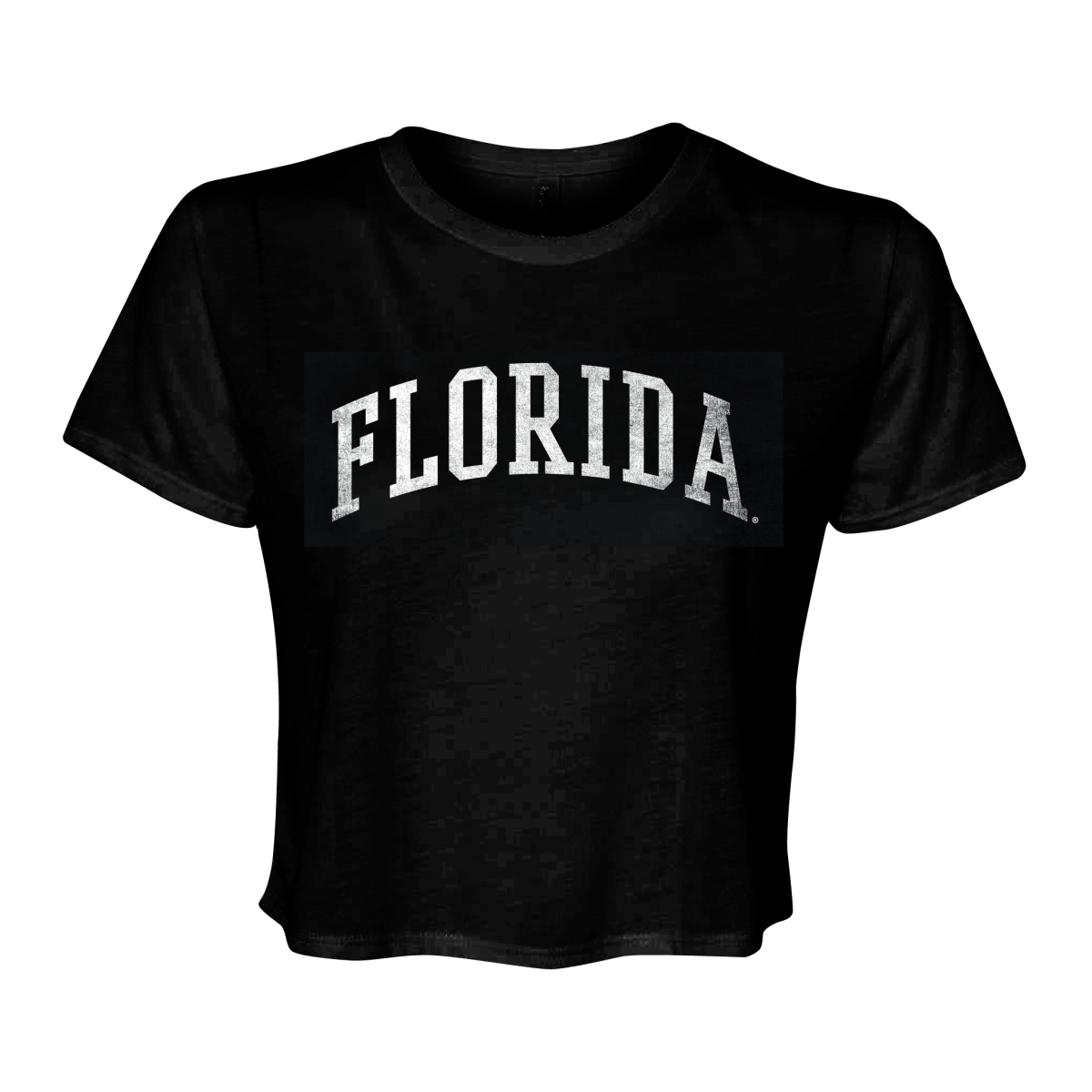 Florida Arched Crop Top
