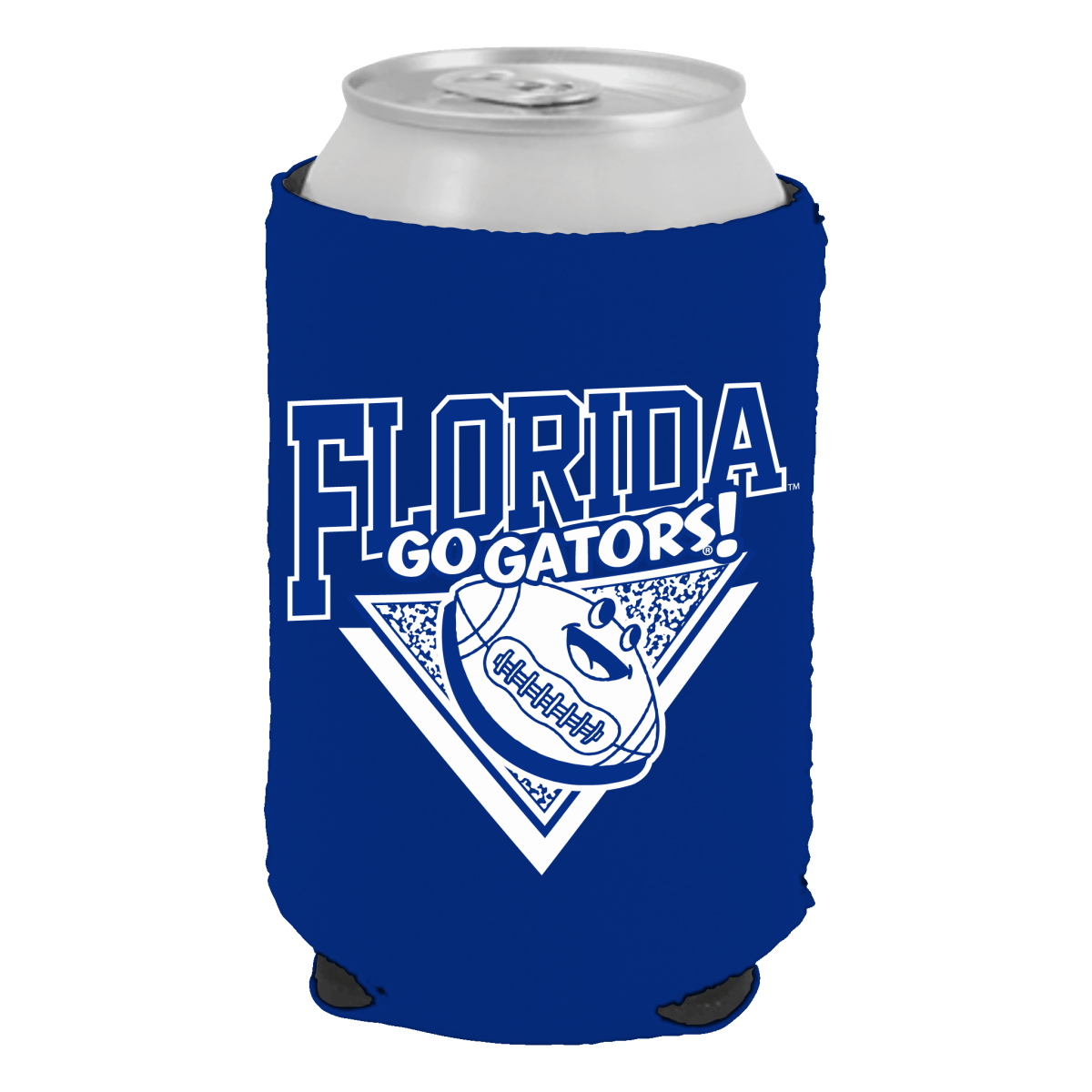 Florida Goofy 90s Can Cooler - Shop B-Unlimited